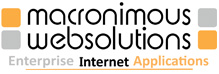 Responsive Web Design India – Macronimous.com